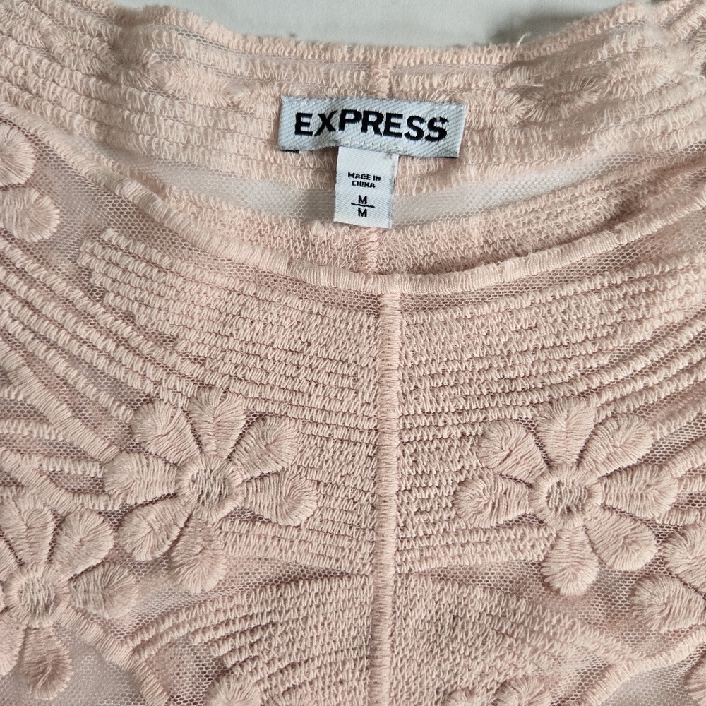 Express Sheer Embroidered Lace Crew Neck Top in soft Pink sz M - Picture 3 of 8